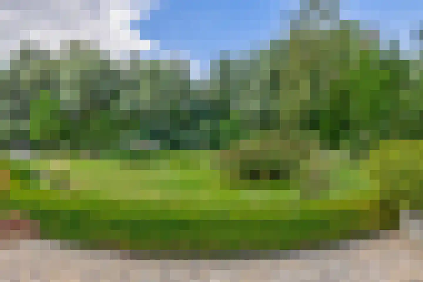 Gemondesestraat 21 Liempde thumbnail 66