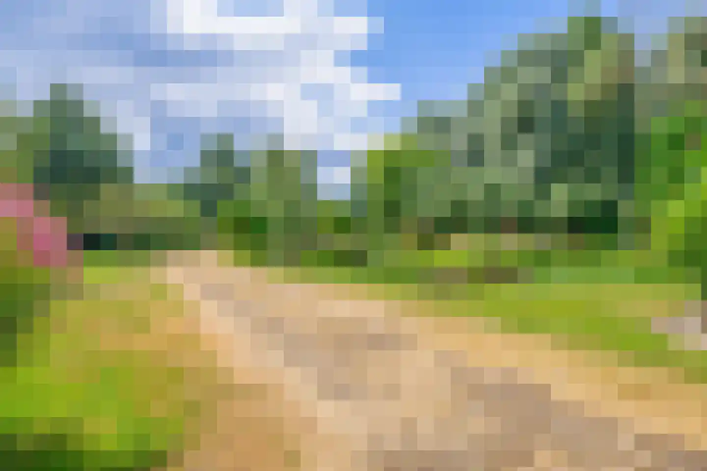 Gemondesestraat 21 Liempde thumbnail 71