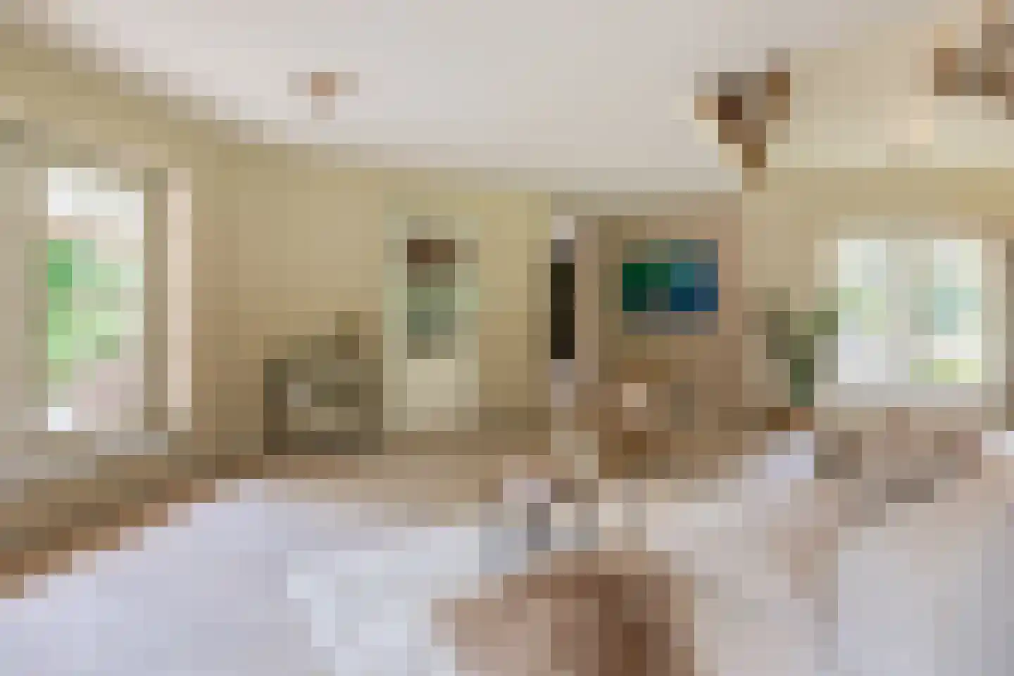 Gemondesestraat 21 Liempde thumbnail 9