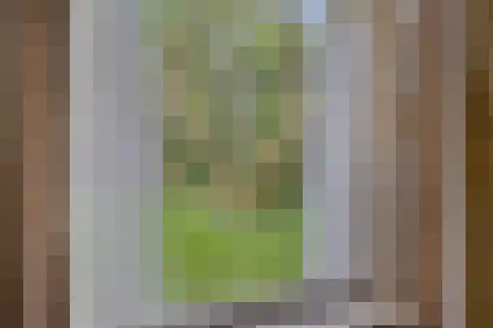 Gemondesestraat 6 Liempde thumbnail 12