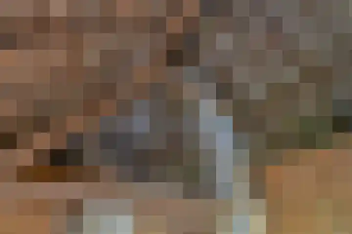 Gemondesestraat 6 Liempde thumbnail 22