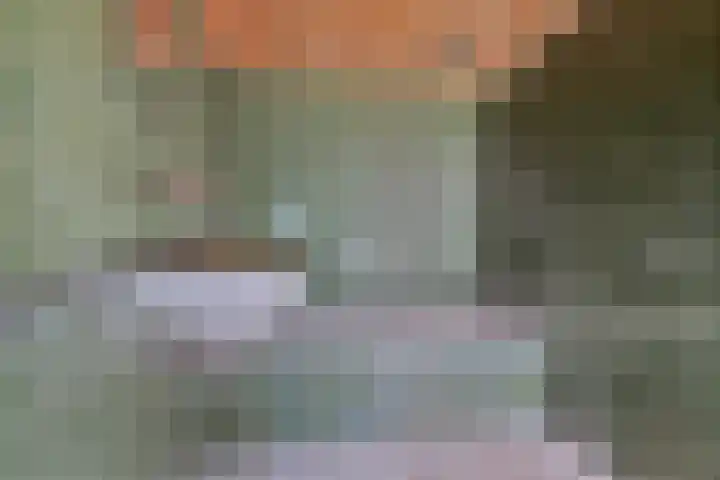 Gemondesestraat 6 Liempde thumbnail 24