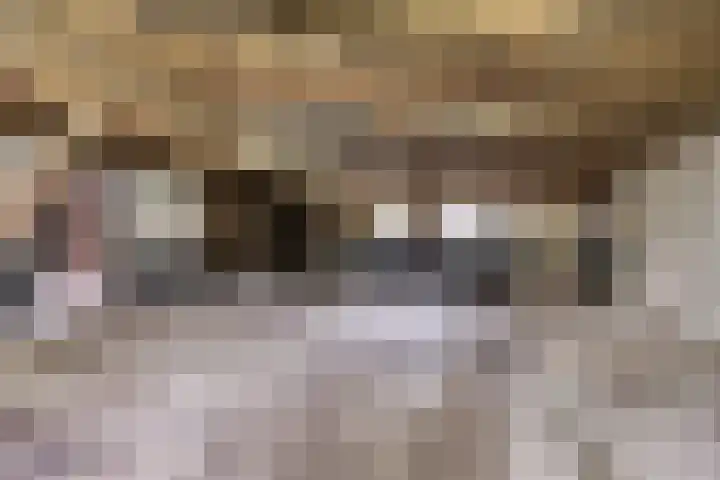 Gemondesestraat 6 Liempde thumbnail 25