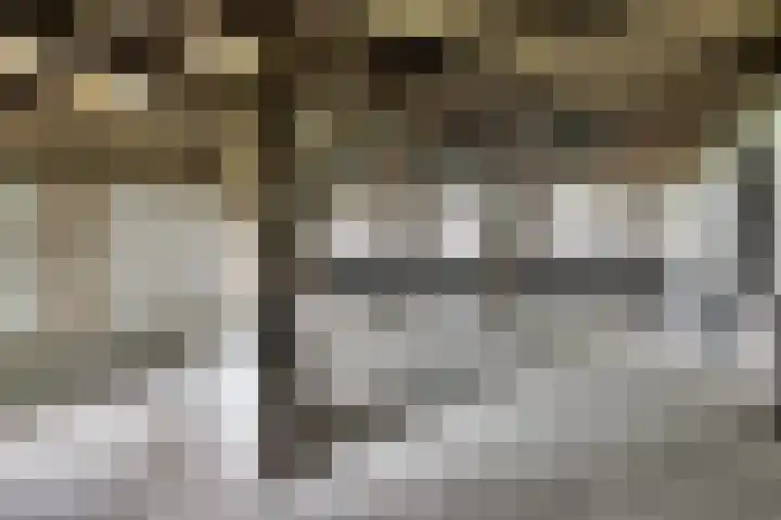 Gemondesestraat 6 Liempde thumbnail 26