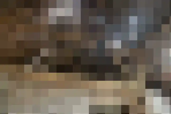 Gemondesestraat 6 Liempde thumbnail 28
