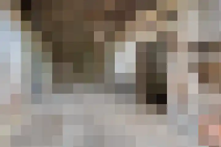 Gemondesestraat 6 Liempde thumbnail 29