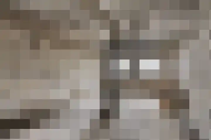 Gemondesestraat 6 Liempde thumbnail 33