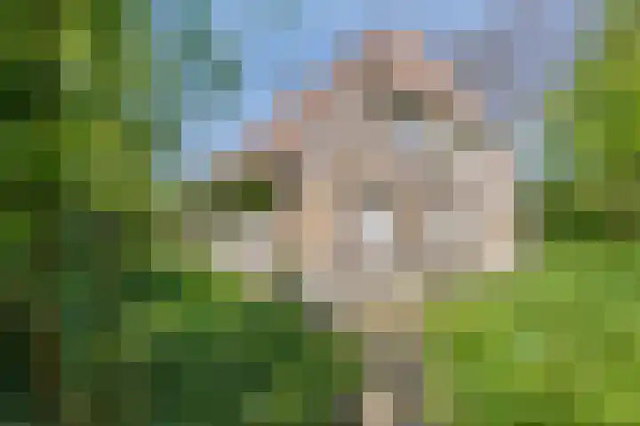 Gemondesestraat 6 Liempde thumbnail 36