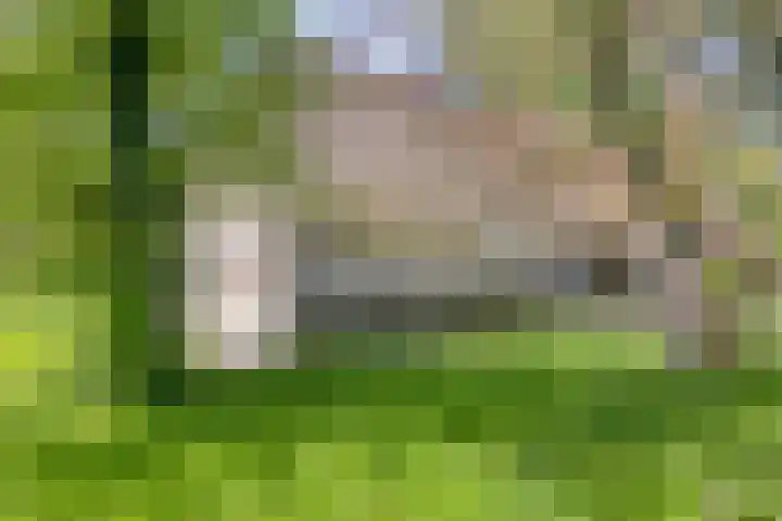 Gemondesestraat 6 Liempde thumbnail 37