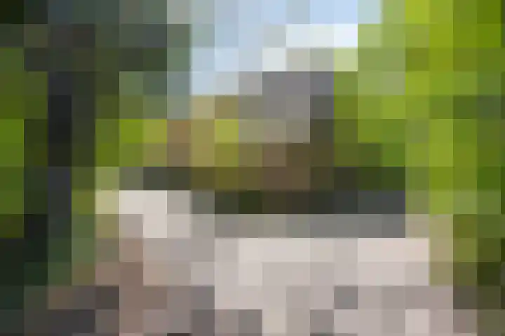 Gemondesestraat 6 Liempde thumbnail 38