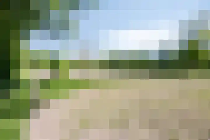 Gemondesestraat 6 Liempde thumbnail 39