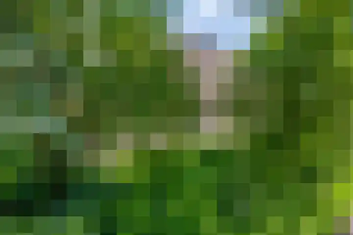 Gemondesestraat 6 Liempde thumbnail 4