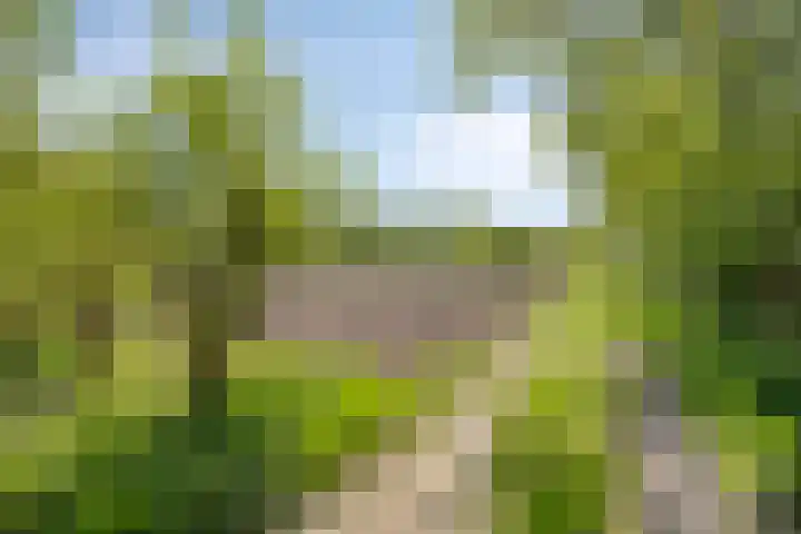 Gemondesestraat 6 Liempde thumbnail 40