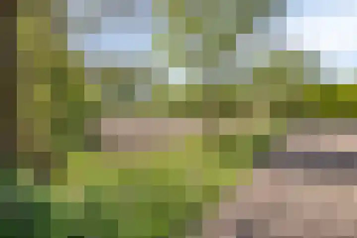 Gemondesestraat 6 Liempde thumbnail 41