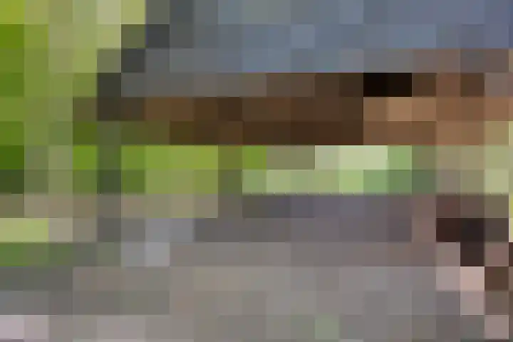 Gemondesestraat 6 Liempde thumbnail 43
