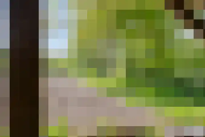 Gemondesestraat 6 Liempde thumbnail 45