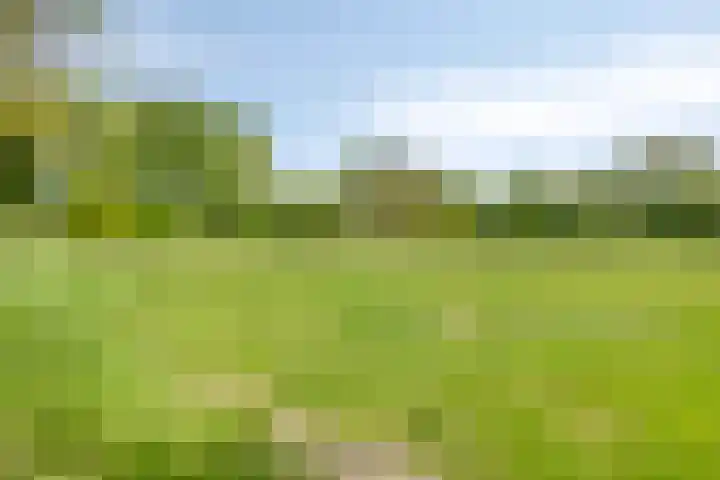 Gemondesestraat 6 Liempde thumbnail 46