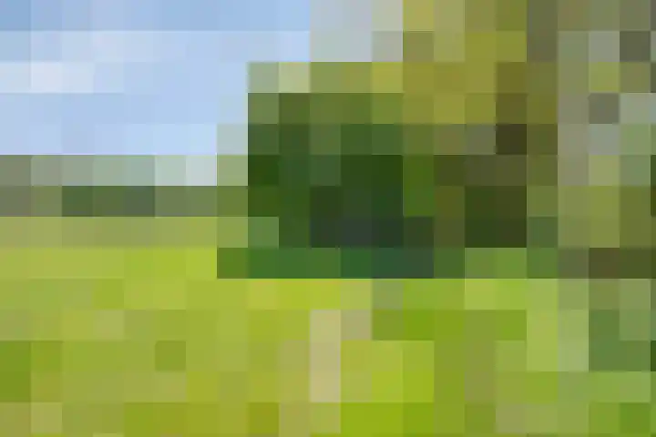 Gemondesestraat 6 Liempde thumbnail 47