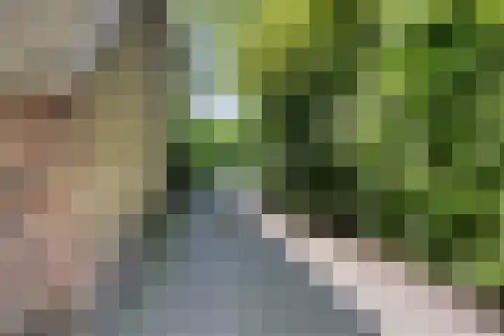 Gemondesestraat 6 Liempde thumbnail 49