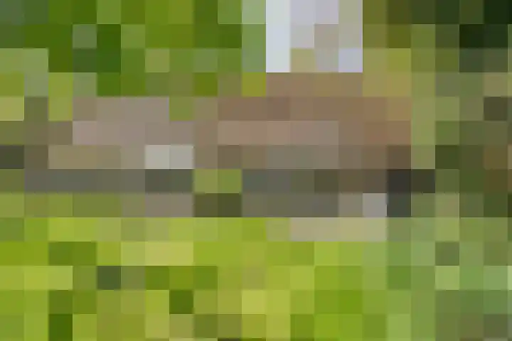 Gemondesestraat 6 Liempde thumbnail 50