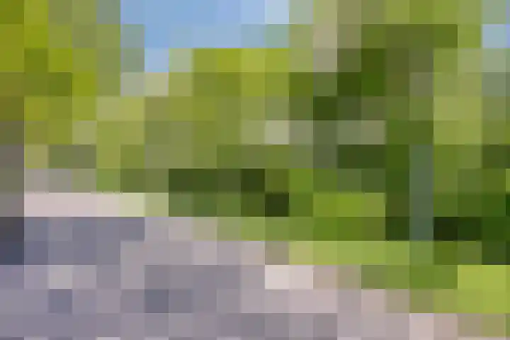 Gemondesestraat 6 Liempde thumbnail 51