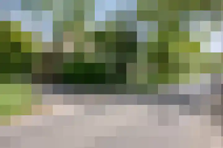 Gemondesestraat 6 Liempde thumbnail 52