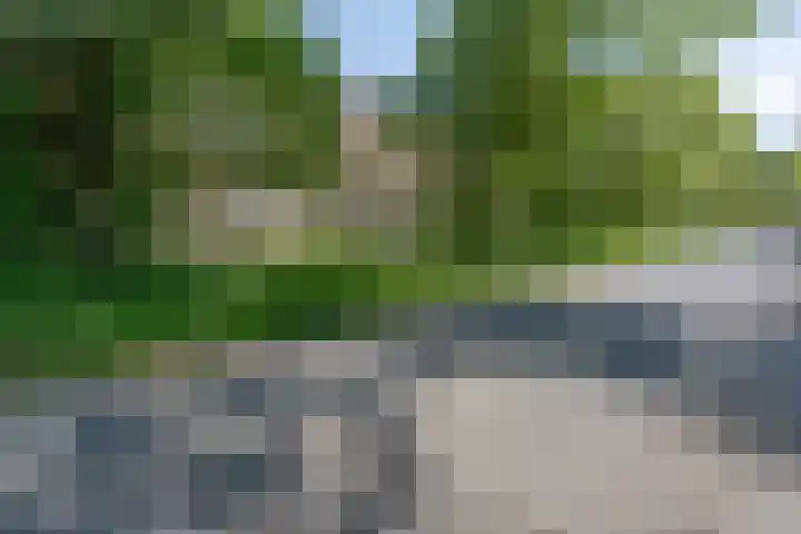 Gemondesestraat 6 Liempde thumbnail 53
