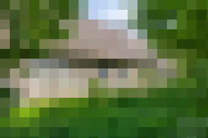 Gemondesestraat 6 Liempde thumbnail 55
