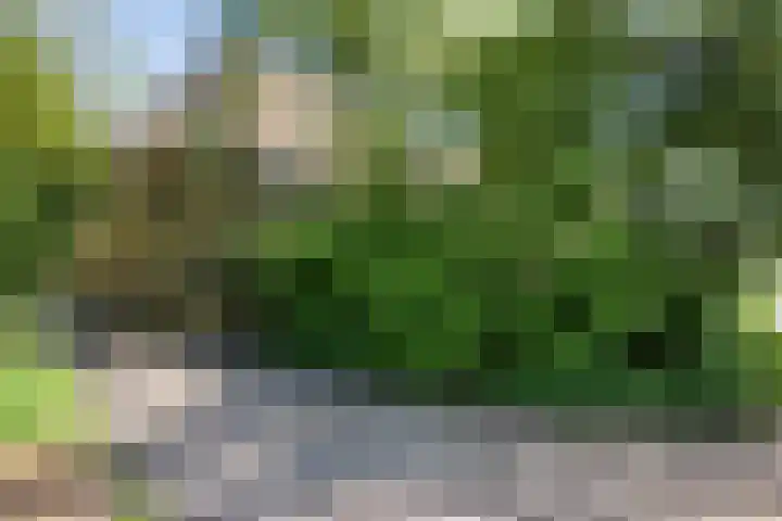 Gemondesestraat 6 Liempde thumbnail 56