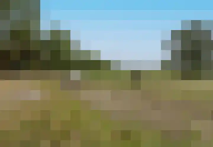 Gemondsedijk 21 Gemonde thumbnail 12