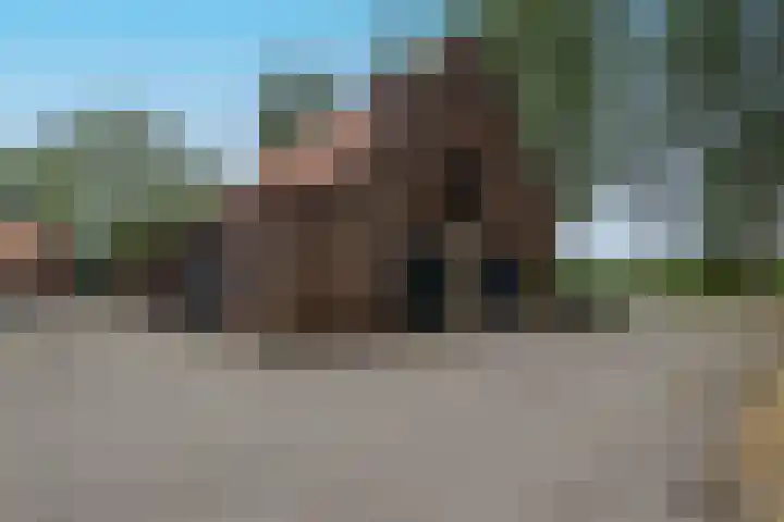 Gemondsedijk 21 Gemonde thumbnail 15