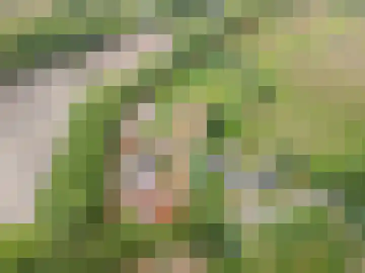 Gemondsedijk 21 Gemonde thumbnail 4