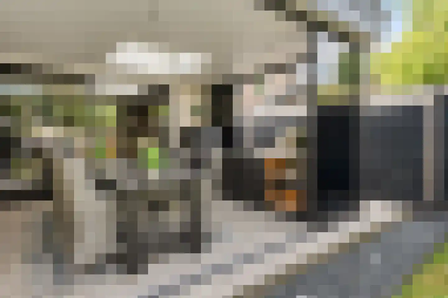 Gemondseweg 19 Schijndel thumbnail 16