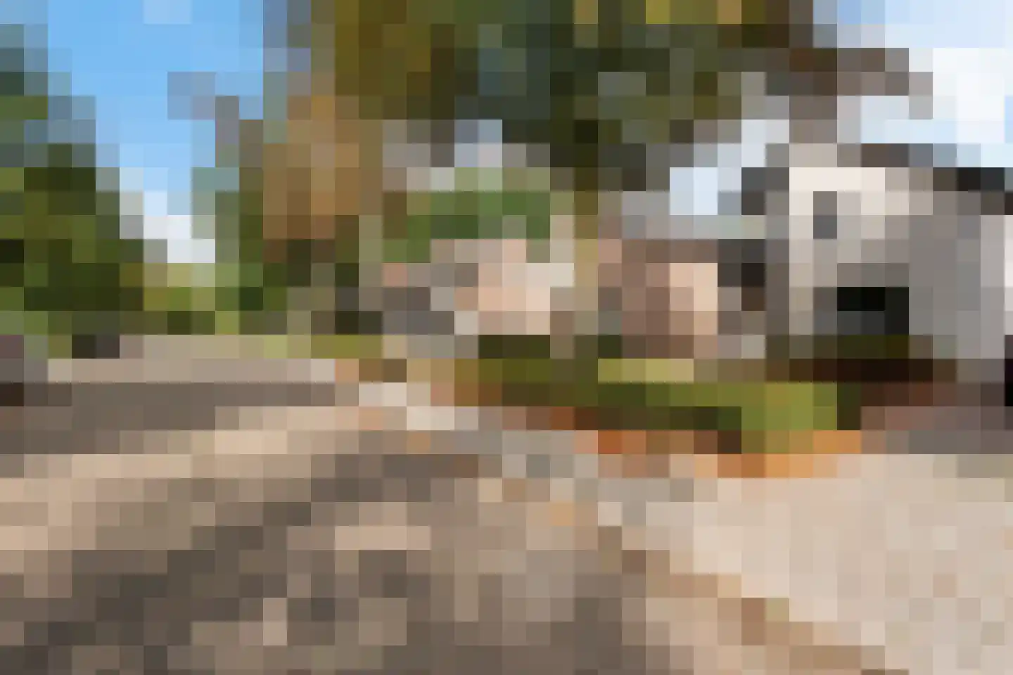 Gemondseweg 19 Schijndel thumbnail 34