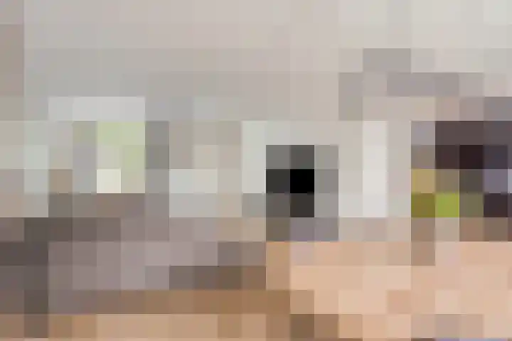 Gemondseweg 20 Schijndel thumbnail 10