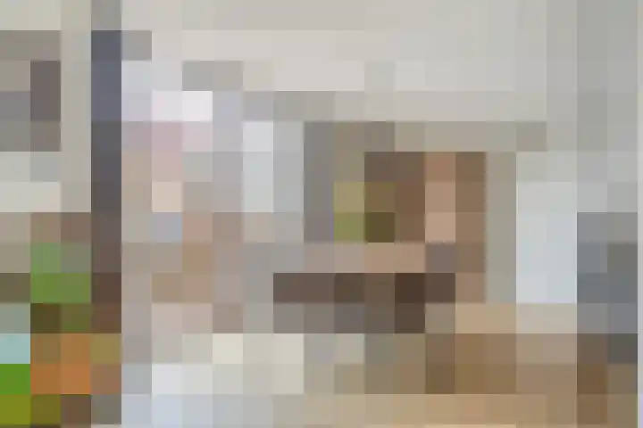 Gemondseweg 20 Schijndel thumbnail 11