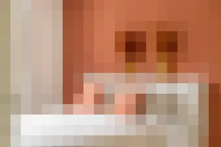 Gemondseweg 20 Schijndel thumbnail 20