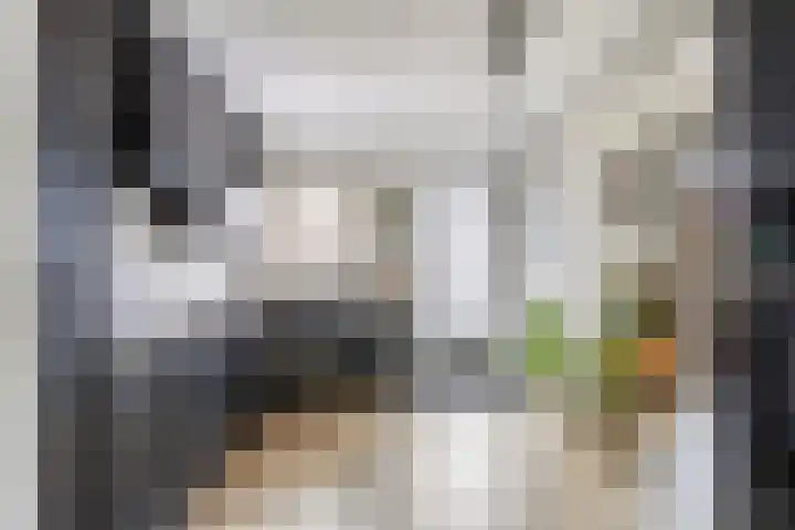 Gemondseweg 20 Schijndel foto 3