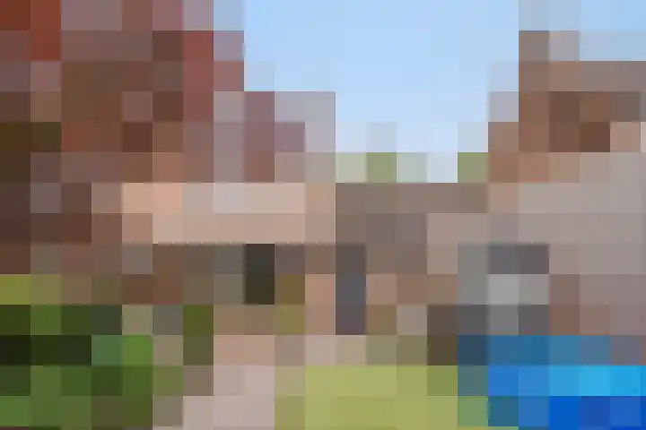 Gemondseweg 20 Schijndel thumbnail 36