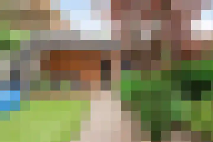 Gemondseweg 20 Schijndel thumbnail 4