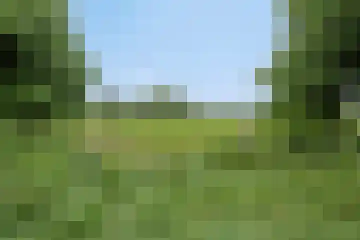 Gemondseweg 20 Schijndel thumbnail 47