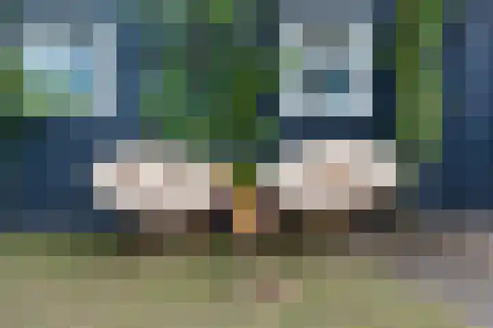 Gemondseweg 25 Schijndel thumbnail 41