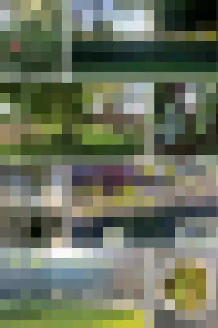 Gemondseweg 25 Schijndel thumbnail 42
