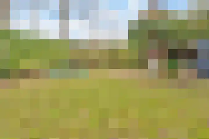 Gemondseweg 25 Schijndel thumbnail 44