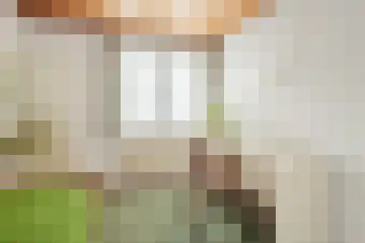 Gemondseweg 4 Sint-Michielsgestel thumbnail 30