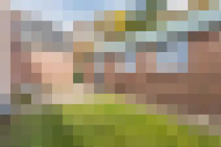 Gemondseweg 4 Sint-Michielsgestel thumbnail 43