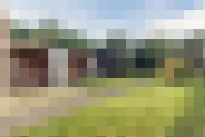 Gemondseweg 4 Sint-Michielsgestel thumbnail 44