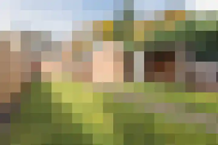 Gemondseweg 4 Sint-Michielsgestel thumbnail 45