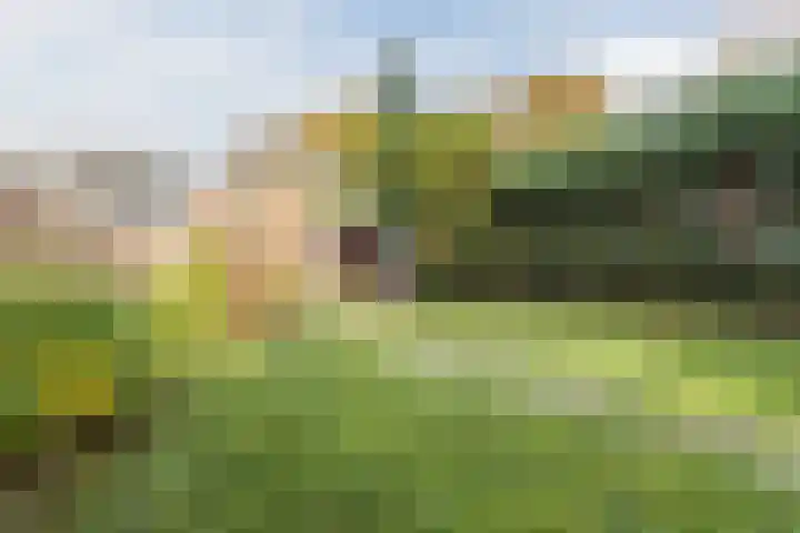 Gemondseweg 4 Sint-Michielsgestel thumbnail 46