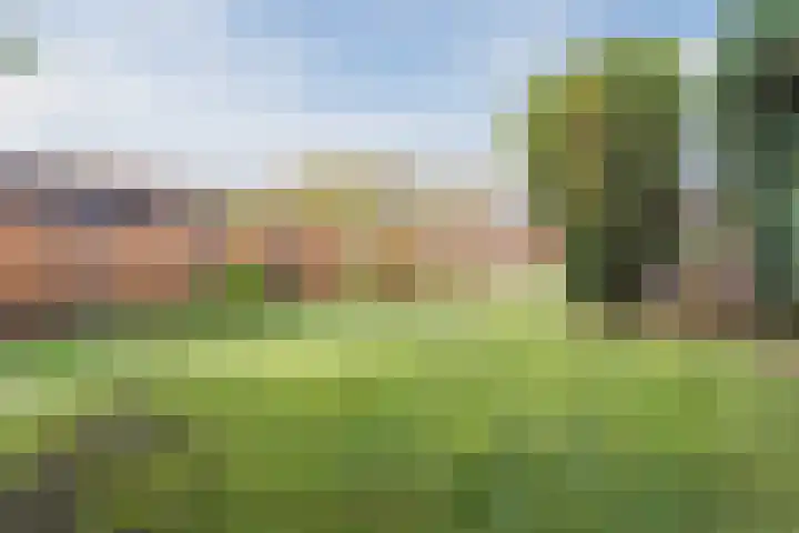 Gemondseweg 4 Sint-Michielsgestel thumbnail 47